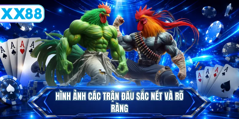 Hình ảnh các trận đấu sắc nét và rõ ràng