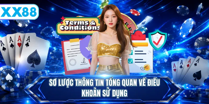 Sơ lược thông tin tổng quan về điều khoản sử dụng