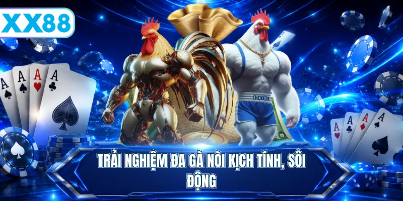 Trải nghiệm đa gà nòi kịch tính, sôi động